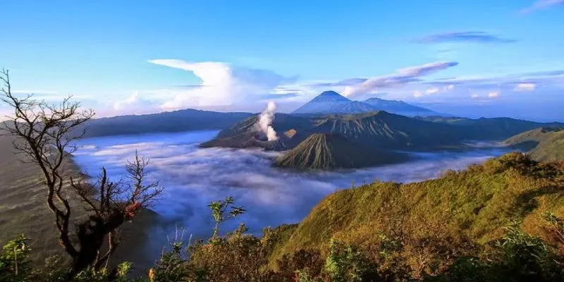 Surabaya Dalam Satu Pandangan: Panduan Wisata Lengkap di Kota Metropolitan Terbesar di Jawa Timur